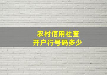 农村信用社查开户行号码多少