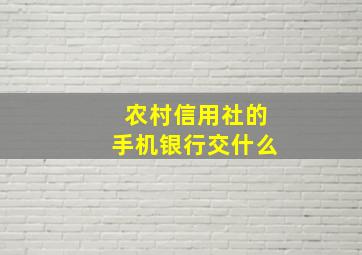 农村信用社的手机银行交什么