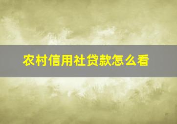 农村信用社贷款怎么看