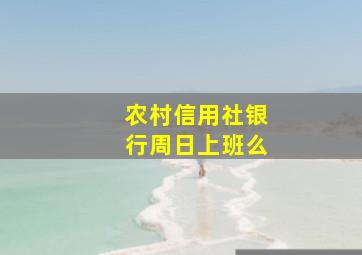 农村信用社银行周日上班么