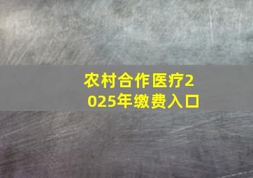 农村合作医疗2025年缴费入口