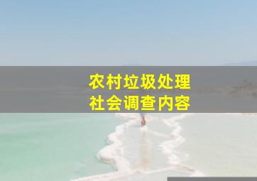 农村垃圾处理社会调查内容