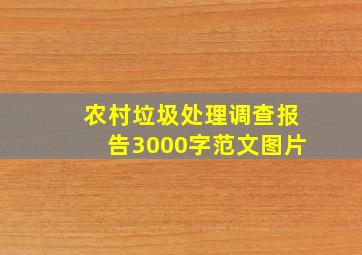 农村垃圾处理调查报告3000字范文图片