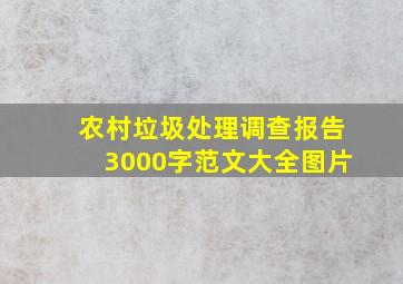 农村垃圾处理调查报告3000字范文大全图片