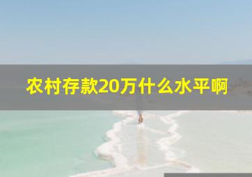 农村存款20万什么水平啊