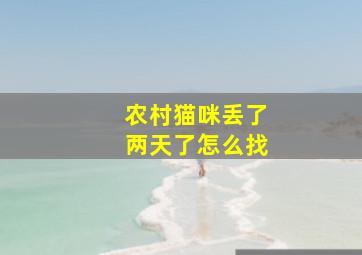 农村猫咪丢了两天了怎么找