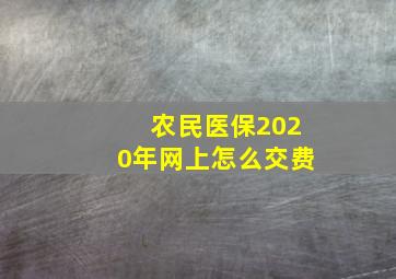 农民医保2020年网上怎么交费