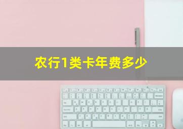 农行1类卡年费多少