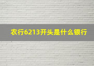 农行6213开头是什么银行