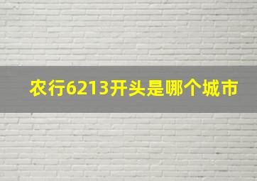 农行6213开头是哪个城市