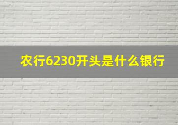 农行6230开头是什么银行