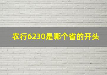 农行6230是哪个省的开头