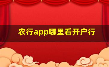 农行app哪里看开户行