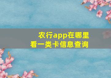 农行app在哪里看一类卡信息查询