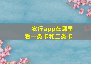 农行app在哪里看一类卡和二类卡