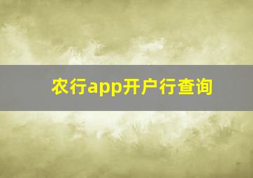 农行app开户行查询