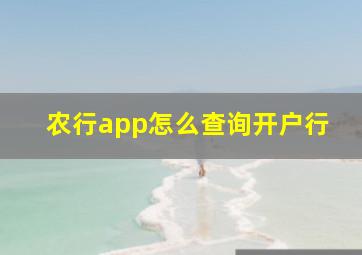 农行app怎么查询开户行