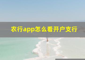 农行app怎么看开户支行