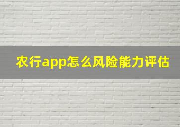 农行app怎么风险能力评估