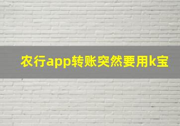 农行app转账突然要用k宝