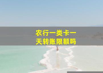 农行一类卡一天转账限额吗