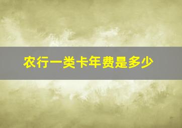 农行一类卡年费是多少