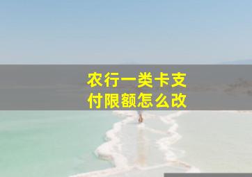 农行一类卡支付限额怎么改