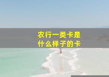 农行一类卡是什么样子的卡