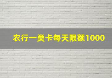 农行一类卡每天限额1000