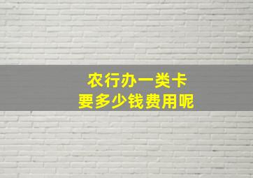 农行办一类卡要多少钱费用呢