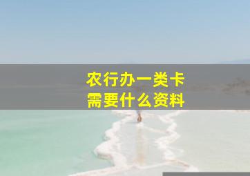 农行办一类卡需要什么资料