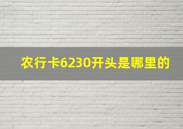 农行卡6230开头是哪里的