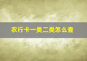 农行卡一类二类怎么查