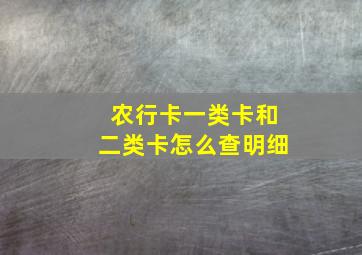 农行卡一类卡和二类卡怎么查明细