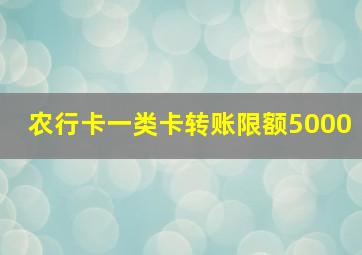 农行卡一类卡转账限额5000