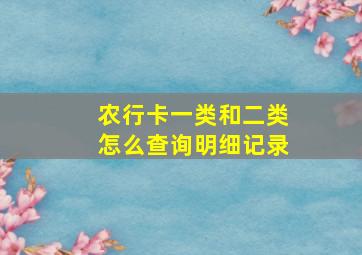 农行卡一类和二类怎么查询明细记录