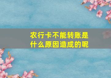 农行卡不能转账是什么原因造成的呢