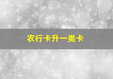 农行卡升一类卡