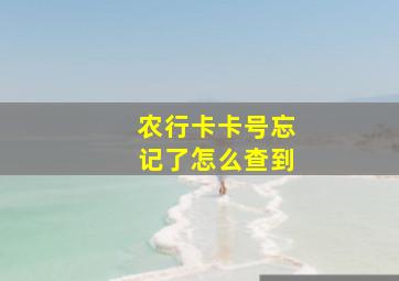 农行卡卡号忘记了怎么查到