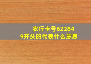 农行卡号622849开头的代表什么意思