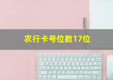 农行卡号位数17位