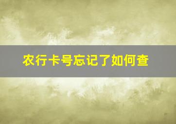 农行卡号忘记了如何查