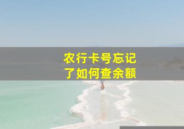 农行卡号忘记了如何查余额