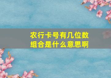 农行卡号有几位数组合是什么意思啊