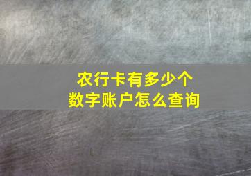 农行卡有多少个数字账户怎么查询