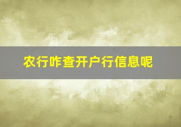 农行咋查开户行信息呢