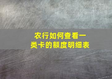 农行如何查看一类卡的额度明细表