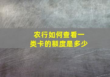 农行如何查看一类卡的额度是多少