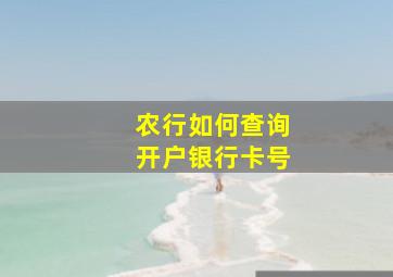 农行如何查询开户银行卡号