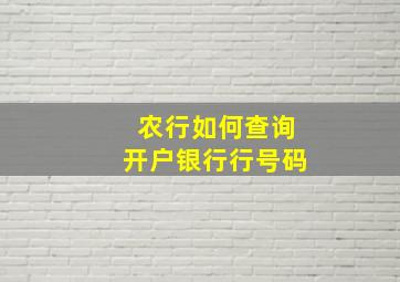 农行如何查询开户银行行号码